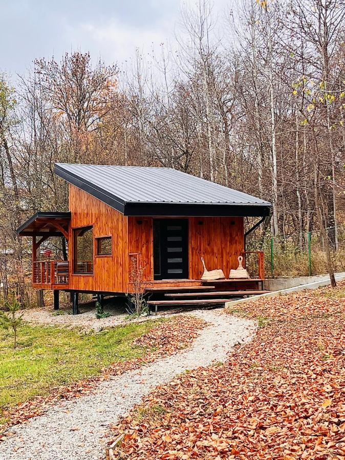Moodysun Studio, Remote Tiny Home Comarnic Exterior foto