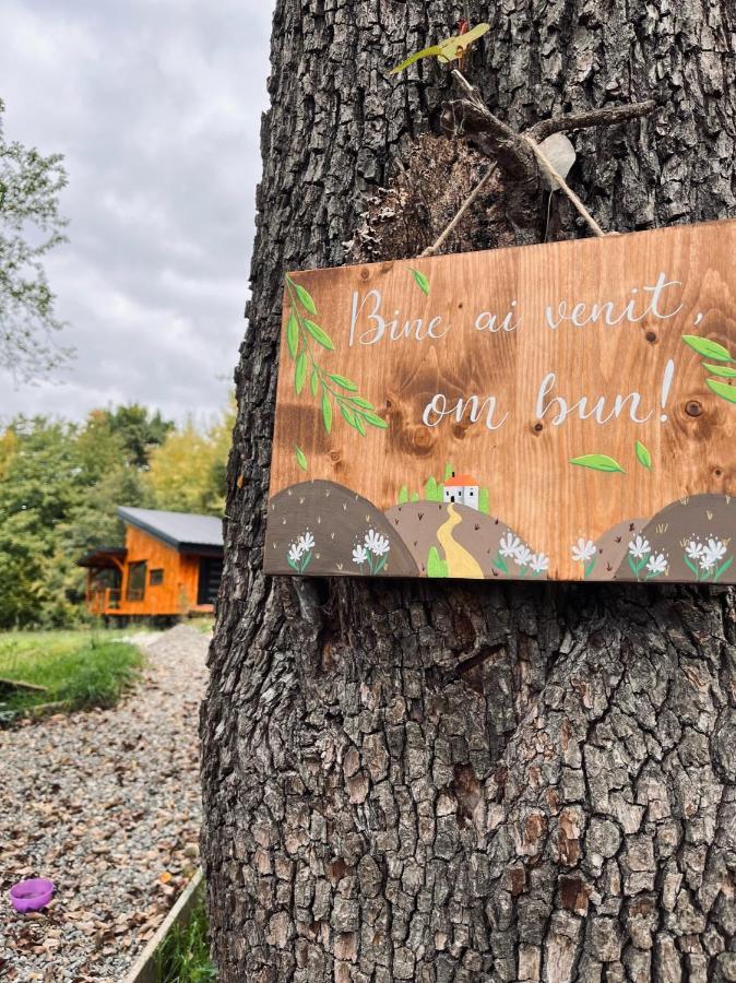 Moodysun Studio, Remote Tiny Home Comarnic Exterior foto